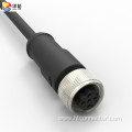 M12 D code waterproof connector female straight head